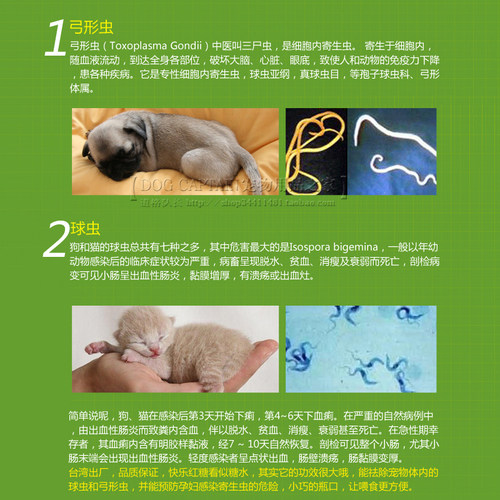 快乐红糖猫咪驱球虫药犬狗驱虫弓形虫D800百球猫拉稀地克珠利溶液 - 图1