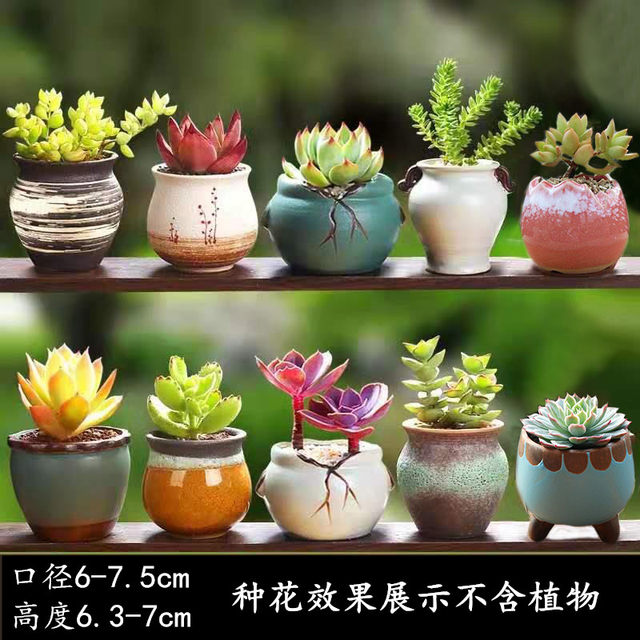 Succulent flower pot simple ceramic creative bottom punch