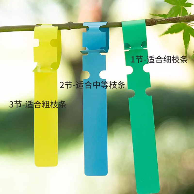 PVC防水防晒可书写环套标签苗木多肉花卉植物标记园艺标签环扣 - 图2