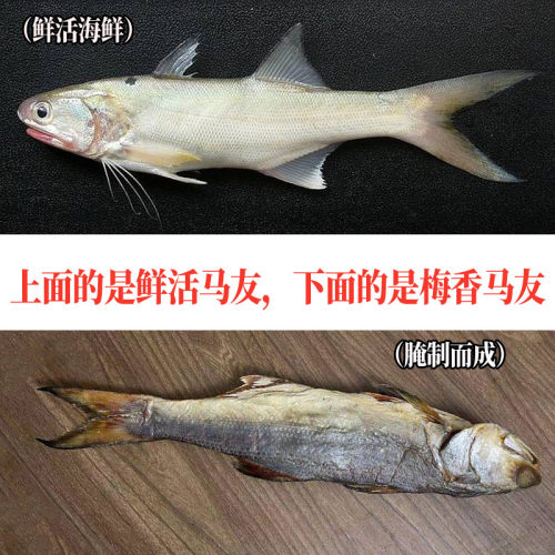 梅香马友咸鱼正宗广东特产港澳霉香马交仓鱼腌制粉嫩松软肉非即食 - 图0