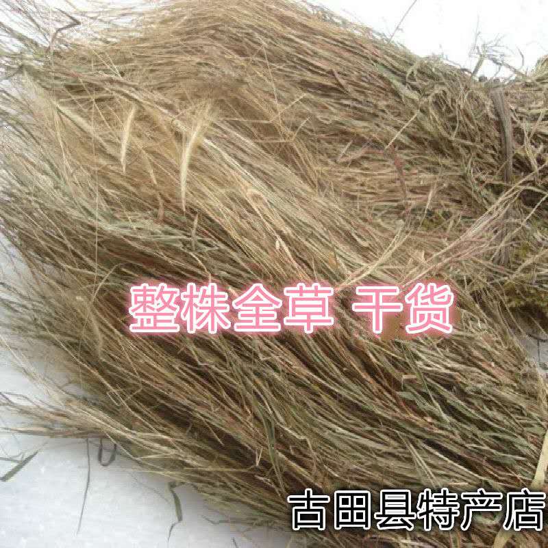 野生青草金丝草 落苏毛 金丝茅 笔子草竹蒿草 猫须尾草黄毛草250g - 图2