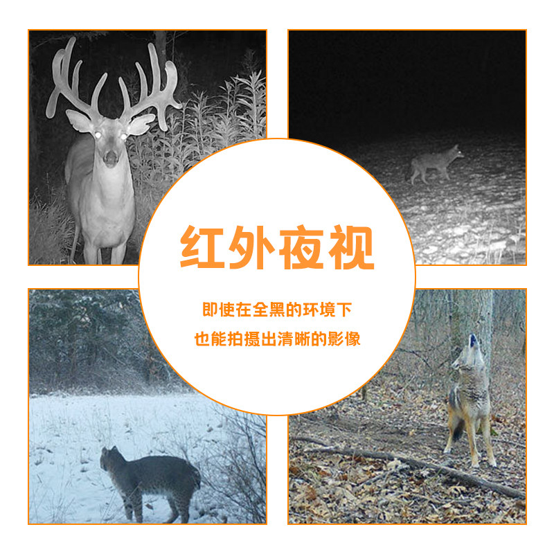 Boshihang HD night vision infrared camera
