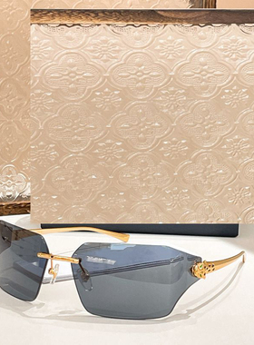 时尚个性方形遮阳墨镜男女款豹子