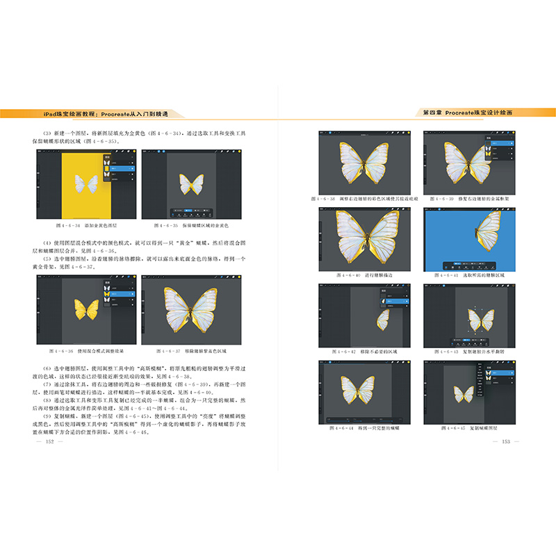 【现货速发】正版新书 iPad珠宝绘画教程 Procreate从入门到精通 李维 刘帝廷 李莉 中国地质大学出版社 - 图1