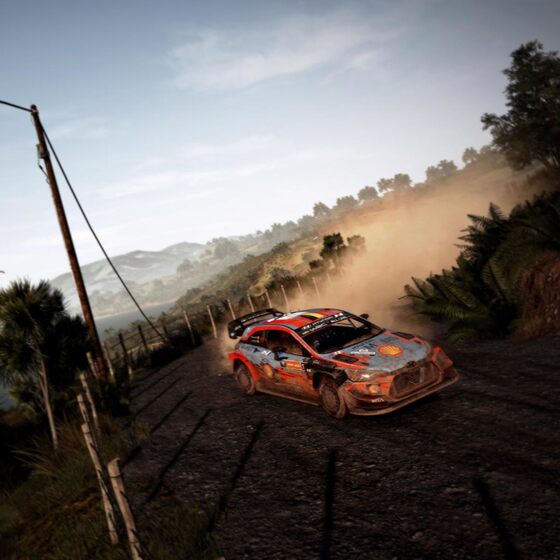 STEAM/WRC9 Deluxe Edition/National Key/Chinese