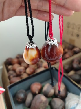 菩提果男女老幼菩提文玩