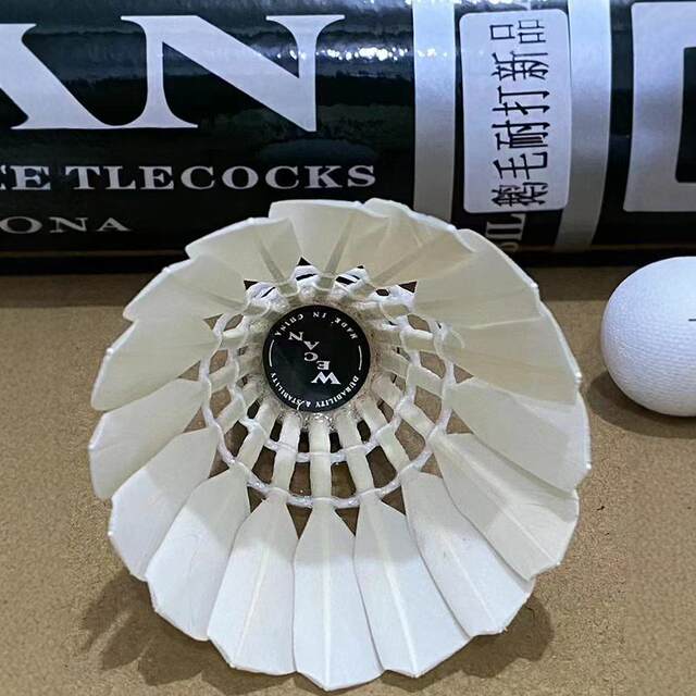 WECAN Badminton Wicken matches with balls