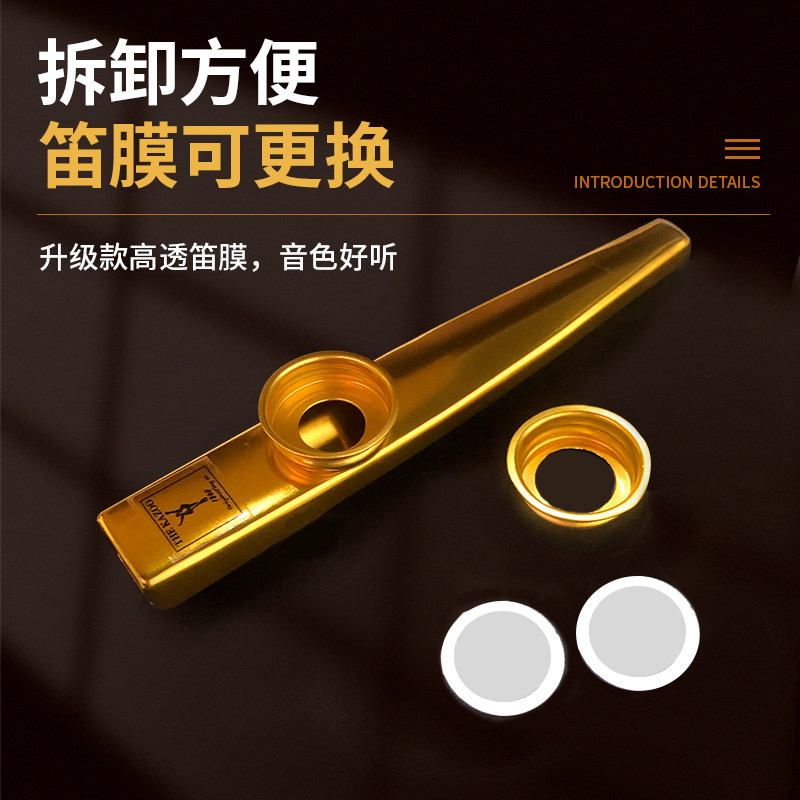 卡祖笛专业演奏高级乐器旗舰店口琴大喇叭电声款进口刘恋初学金属,淘宝优惠券,粉丝福利购,淘宝优惠卷
