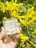 Часть специального предложения!Япония Limited Ohana Mahaalo Perfum