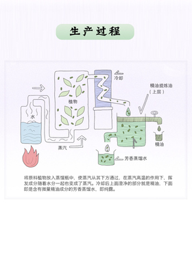 单方薰衣草精油蓝花薰衣草l精油