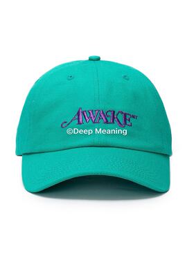 国内现货 Awake NY Metallic Logo Hat 纽约限定弯檐棒球帽