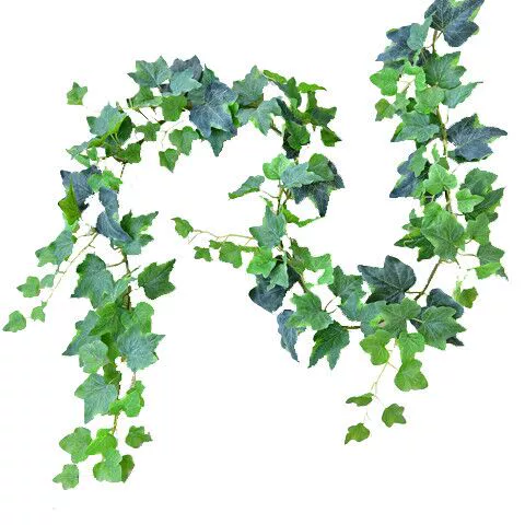 Моделирование Чанчун Виноградная Фах А