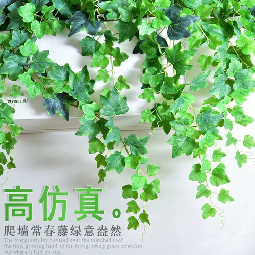 Моделирование Чанчун Виноградная Фах А