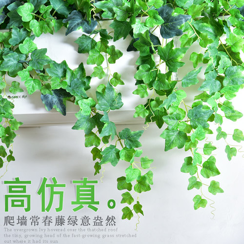 仿真常春藤假花藤条装饰绿植缠绕绿叶树叶管道塑料花藤蔓植物吊顶 - 图1