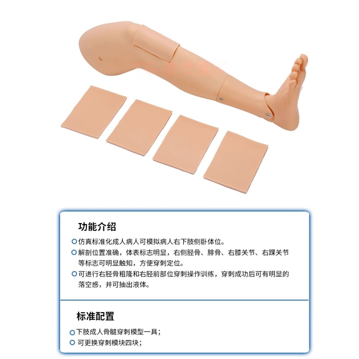 CK821成人胫骨穿刺训练模型下肢骨髓穿刺医学用腿部教学训练模块 - 图2