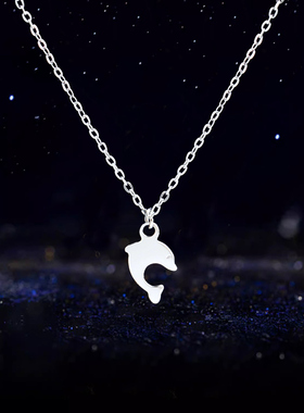 迷你小海豚项链女2024新款配饰高级感轻奢小众甜酷锁骨链洗不掉色