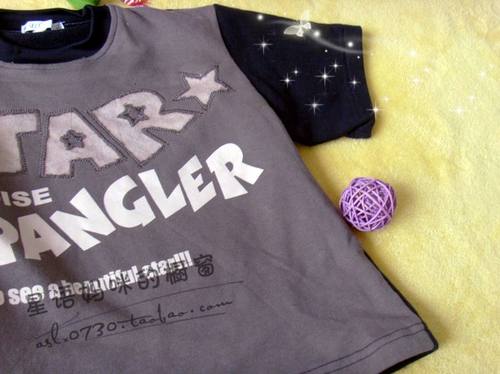 特外贸春秋纯棉儿童男童长袖短袖卫衣T恤加肥厚毛圈3-5岁2298 - 图1