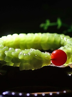 新疆和田玉白玉青玉黄口料老料十二生肖龙骨手串手链带证书假必赔