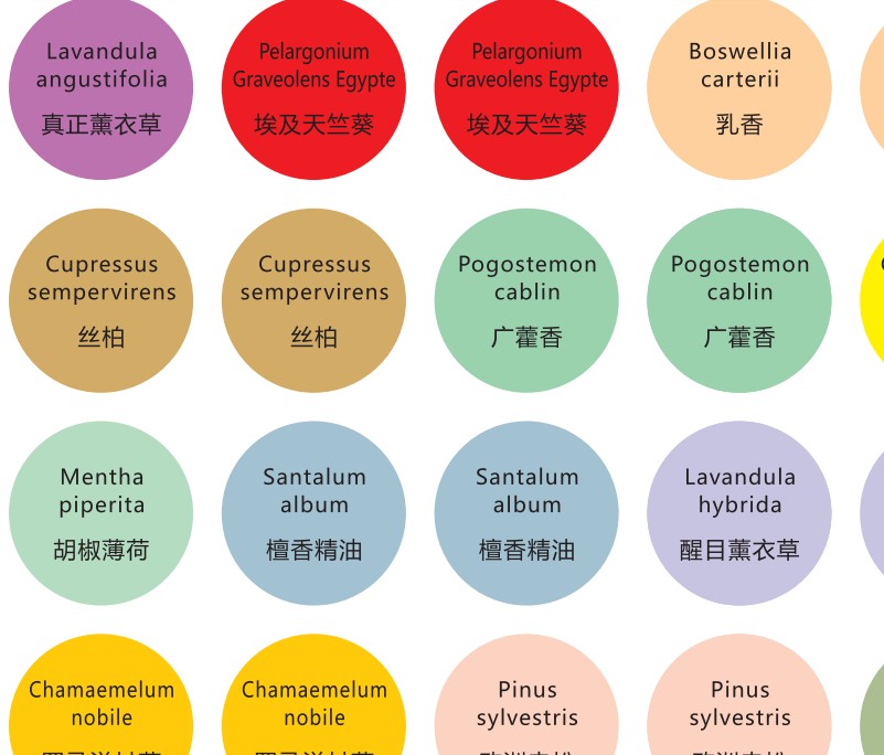 精油瓶盖贴纸名称贴中文拉丁文标签对照精油贴 每张247贴精准全面 - 图1