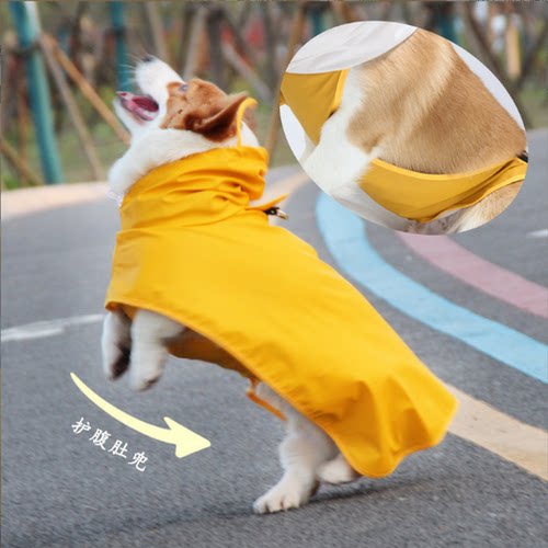 小狗雨衣宠物雨披全包肚兜柴犬柯基专用秋冬大中型犬防雨水狗衣服 - 图0