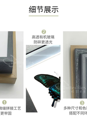 绿带翠凤蝶蝴蝶标本相框