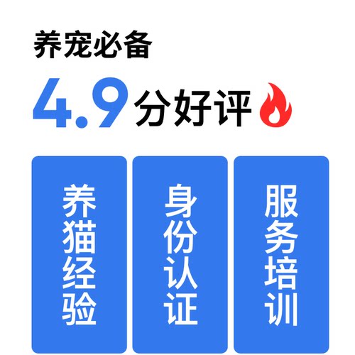 大猫飞鱼伴宠官上门喂猫深圳照顾宠物喂养代养猫咪代喂铲屎 - 图1