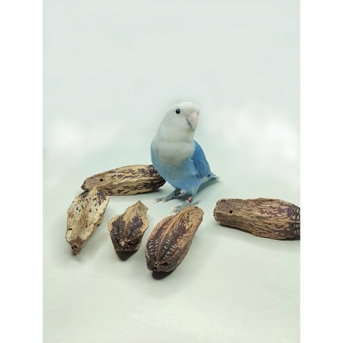 杨桃果干冻干切片牡丹玄凤虎皮鹦鹉啃咬磨嘴玩具营养饲料宠物零食 - 图0