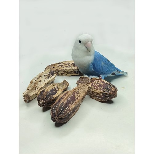 杨桃果干冻干切片牡丹玄凤虎皮鹦鹉啃咬磨嘴玩具营养饲料宠物零食 - 图2