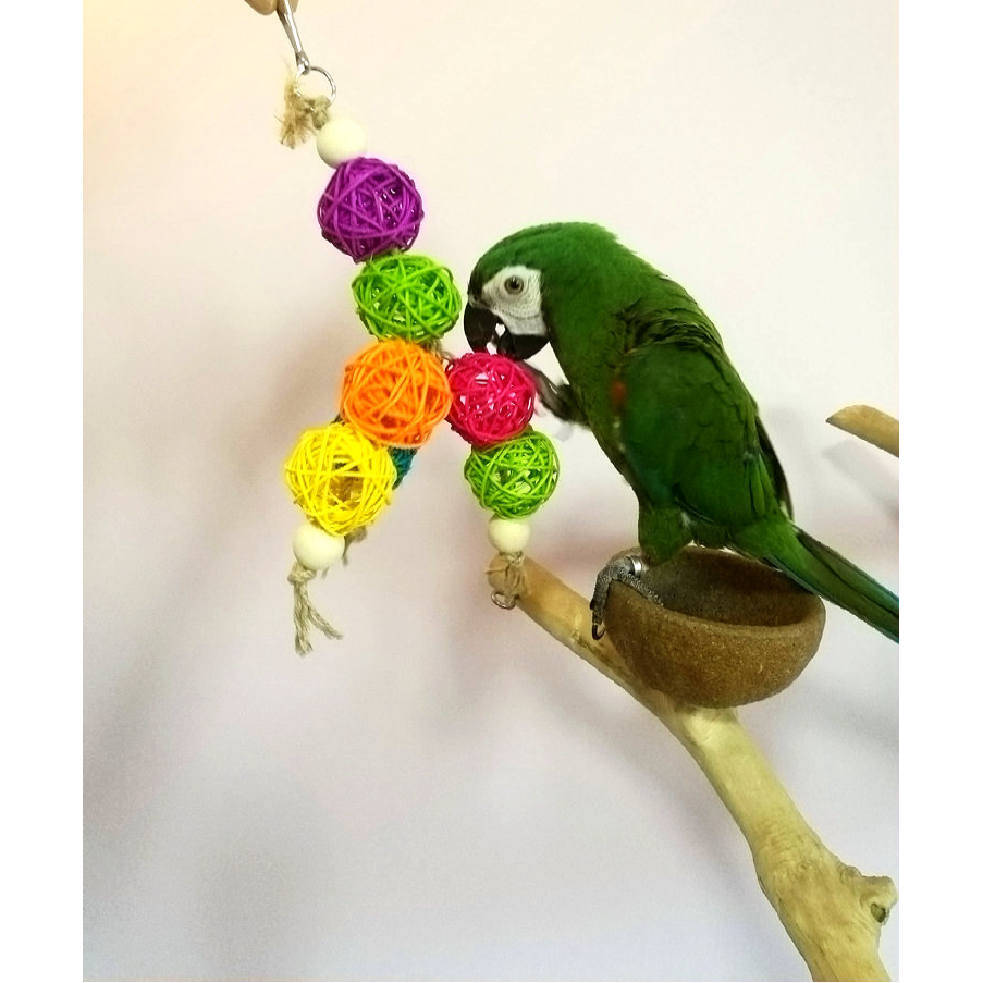 店主推荐鹦鹉啃咬玩具藤球塔啃咬串牡丹玄凤虎皮宠物鸟用具用品,淘宝优惠券,粉丝福利购,淘宝优惠卷
