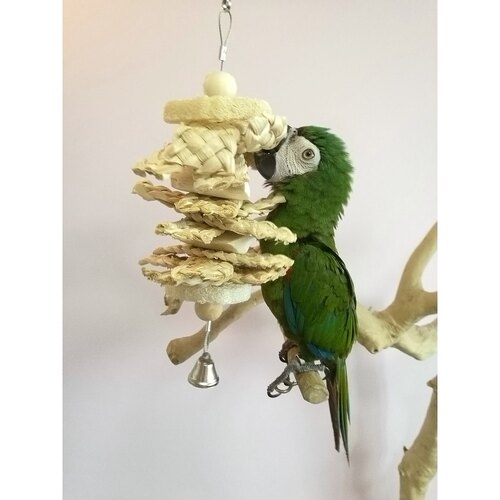 鹦鹉啃咬玩具补钙墨鱼骨啃咬串玉米皮丝瓜烙铃铛牡丹鹦鹉玄凤用品 - 图1