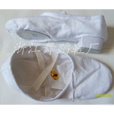 Взрослые учительские шнурки на каблуках национальная танцевальная обувь, туфли для кошек, современная танцевальная обувь