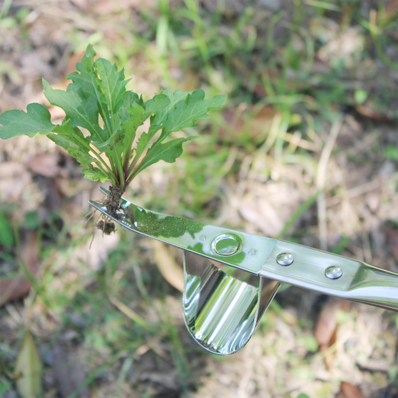 园艺除草工具拔草器种花家用神器手动连根小铲子挖野菜农用起苗器