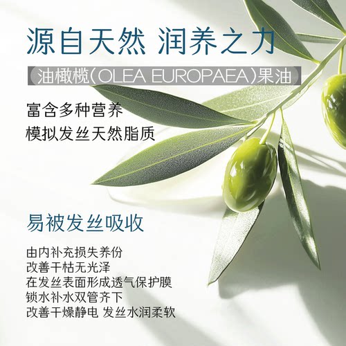 章华一抹橄榄防干枯润护发焗油免蒸倒膜补水滋润精油柔顺滑护发素 - 图2