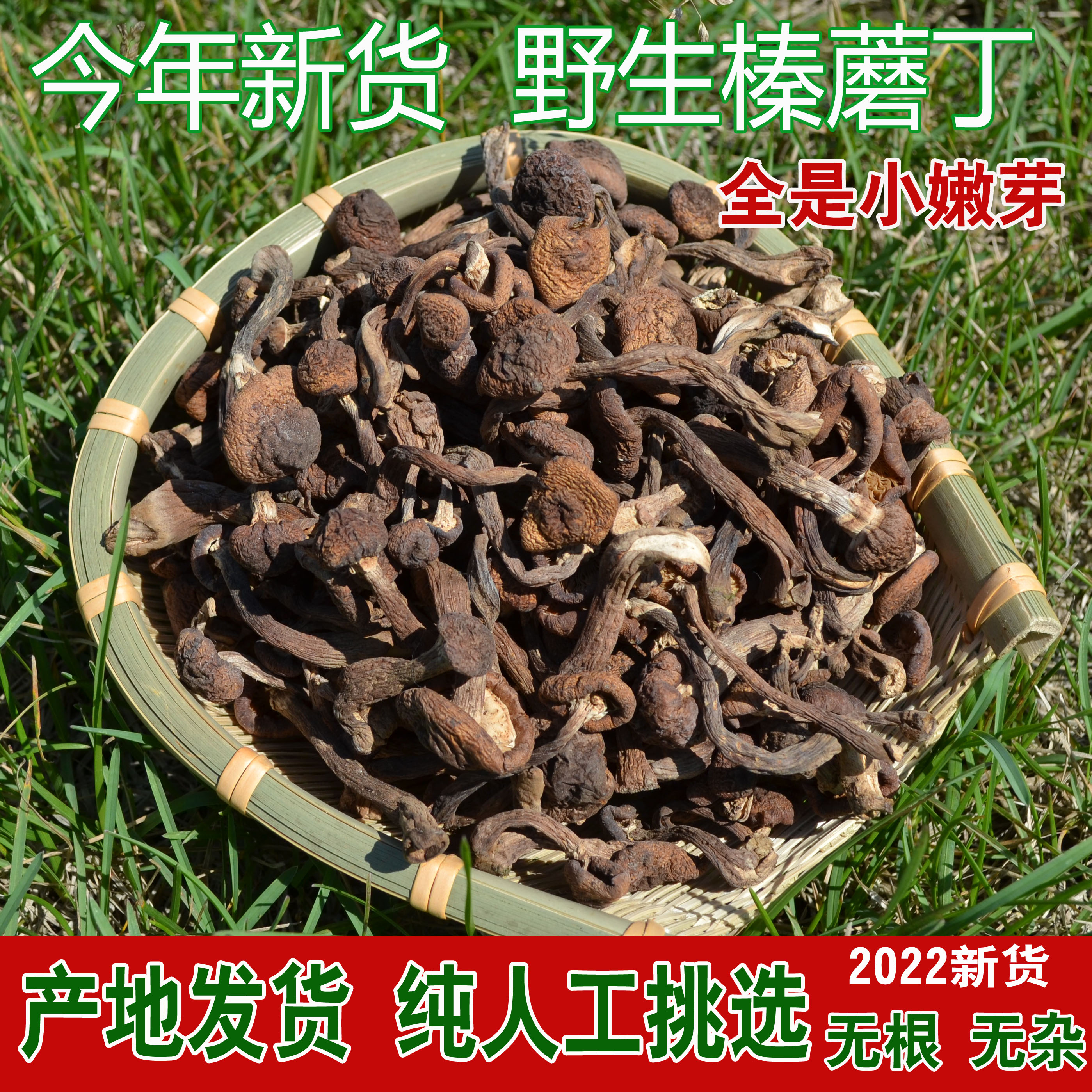 今年新货野生榛蘑丁500g包邮干货东北小鸡炖榛蘑菇无根香菇类 - 图0