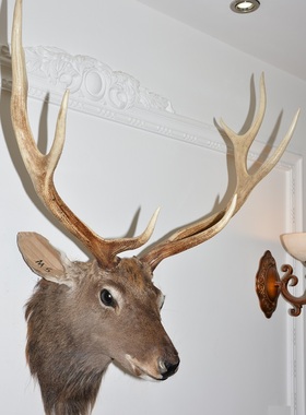 标本酒吧美式乡村风生财有鹿壁饰