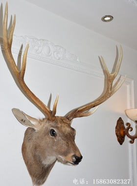 标本酒吧北欧风格生财有鹿壁饰