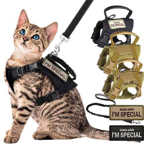 Tactical Cat Dog Harness Leash For Working Adjustable Pet V - 图2