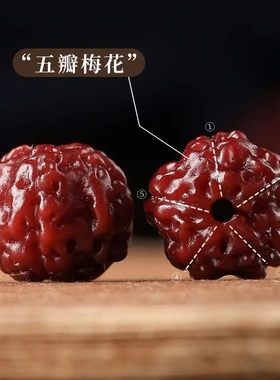 精选高山原籽机刷小金刚菩提手串男女手持款佛珠盘玩文玩手链