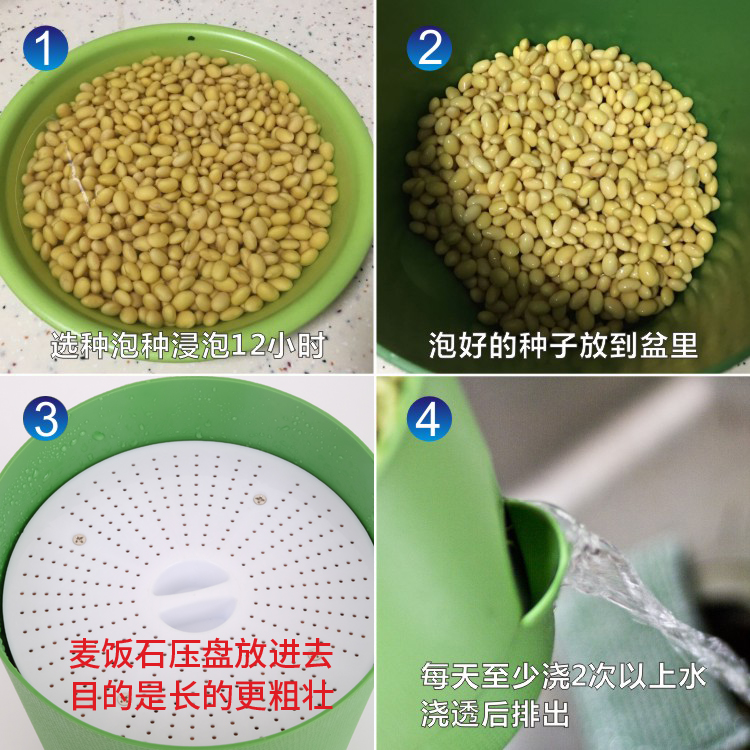 豆芽机家用育苗盘豆芽菜桶生绿豆黄豆发芽盆神器豆芽罐种植塑料盆