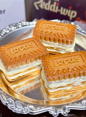 定制立体Lotus饼干仿真食玩微缩树脂配件材料摆件场景