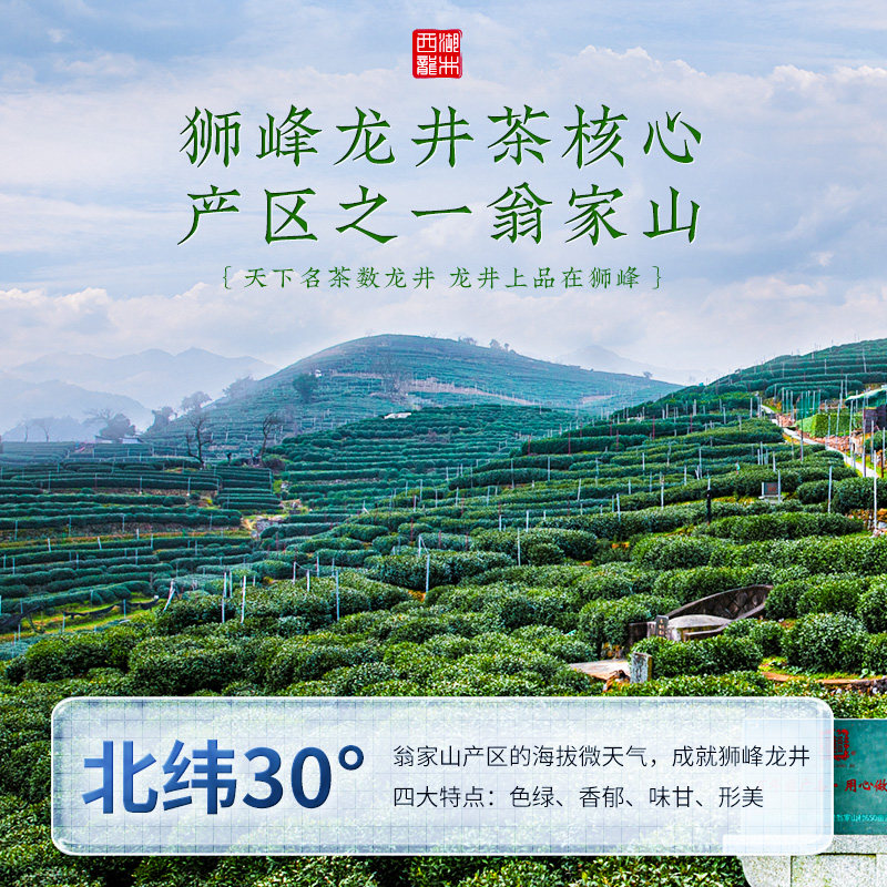 知味观西湖龙井茶产区新茶上市绿茶 知味观西湖龙井