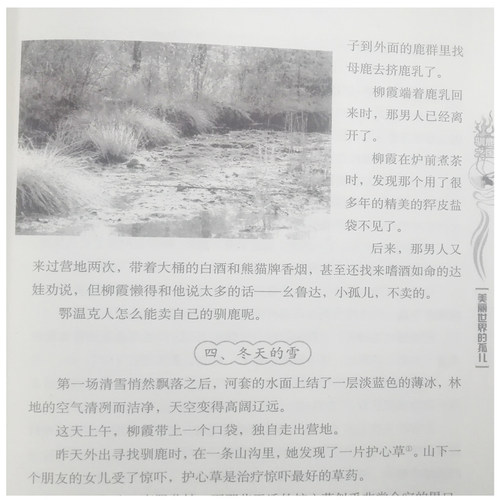 现货正版 天鹅牧场 鬼狗 驯鹿之国 自然之子黒鹤经典动物小说系列儿童文学金牌作家书系格日勒其木格 黑鹤 正版 - 图3