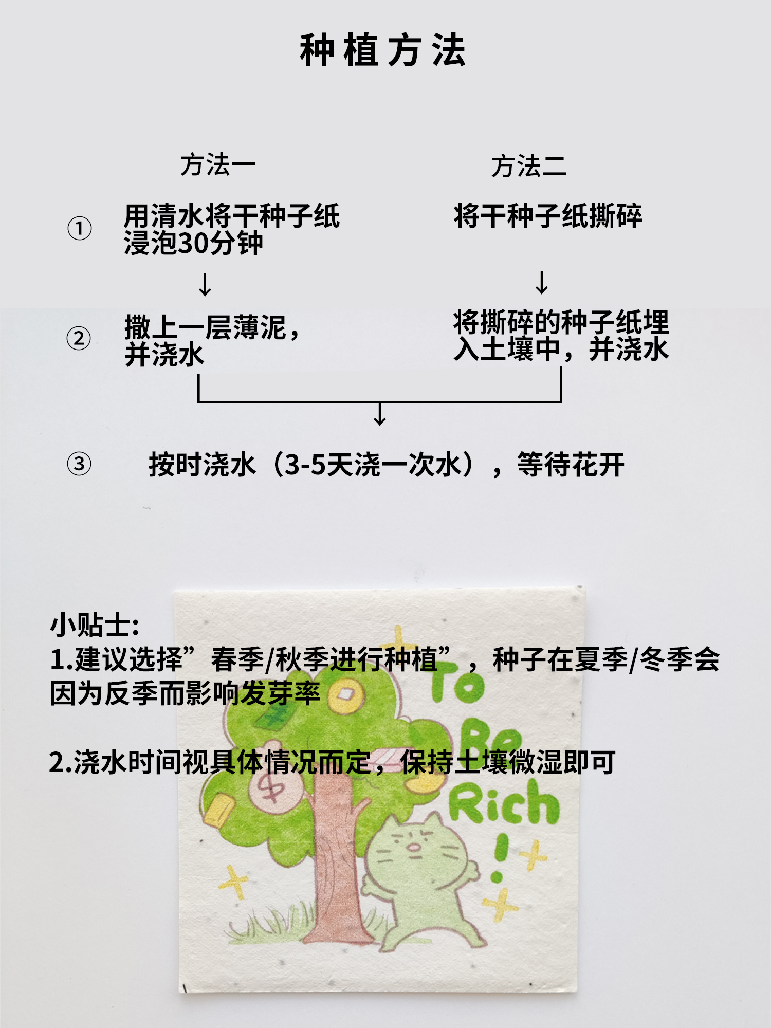 新品焦绿猫发财树种子明信片｜必易正版授权贺卡伴手礼可种植虞美 - 图0