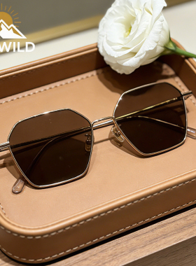 DAYWILD纯钛超轻太阳眼镜UV400