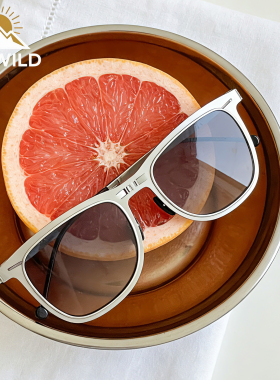 DAYWILD太阳眼镜防紫外线UV400