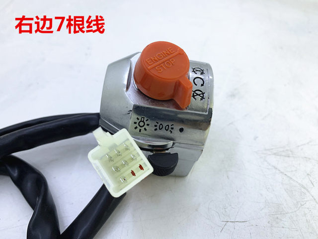 Qianjiang Motorcycle Storm Prince left and right motorcycle accessories