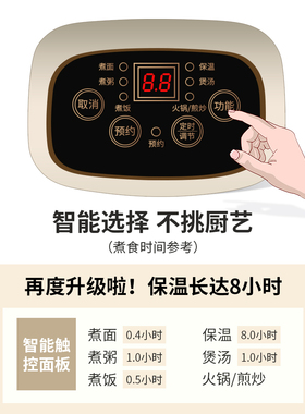 110V小家电国外用美标日标电炒锅