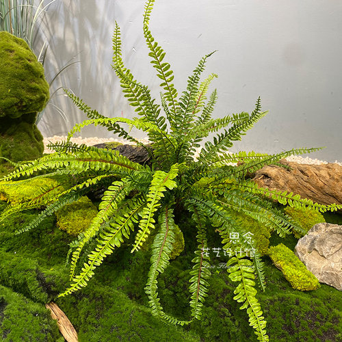 仿真植物大叶子造景素材创意搭配装饰绿植装饰家居配叶绿植墙叶 - 图1
