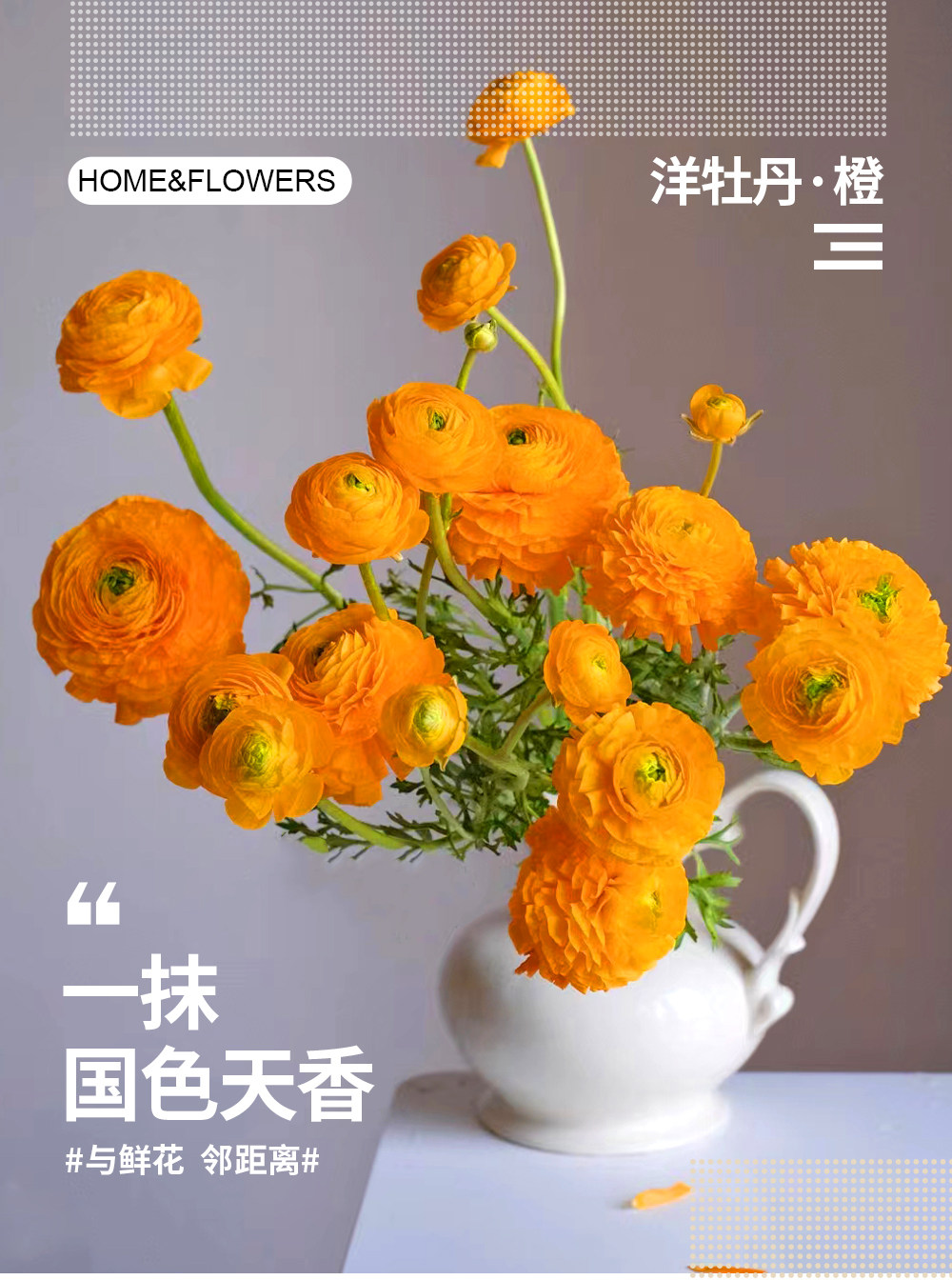 洋牡丹花毛茛鲜切洋牡丹两单发顺丰鲜花云南基地直发昆明花卉市场,淘宝优惠券,粉丝福利购,淘宝优惠卷