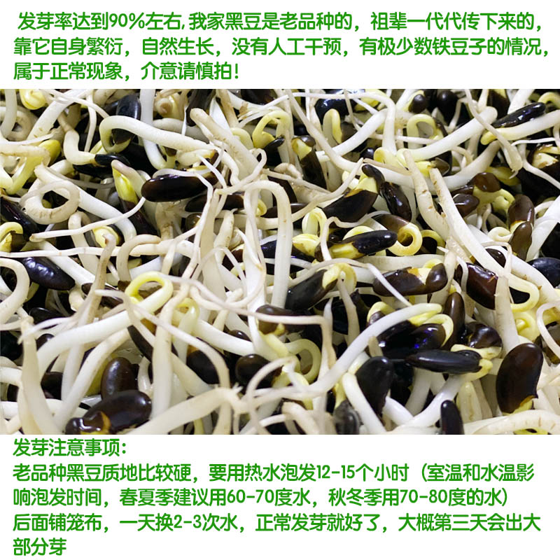 黑豆老品种打豆浆专用山西特产醋泡黄心肾形小黑豆山丫头1斤 - 图1